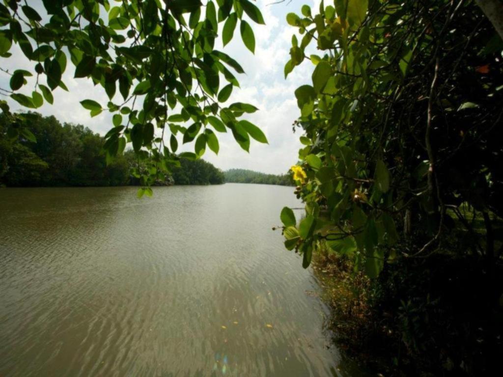 Mangrove Escapes 호텔 벤토타 외부 사진