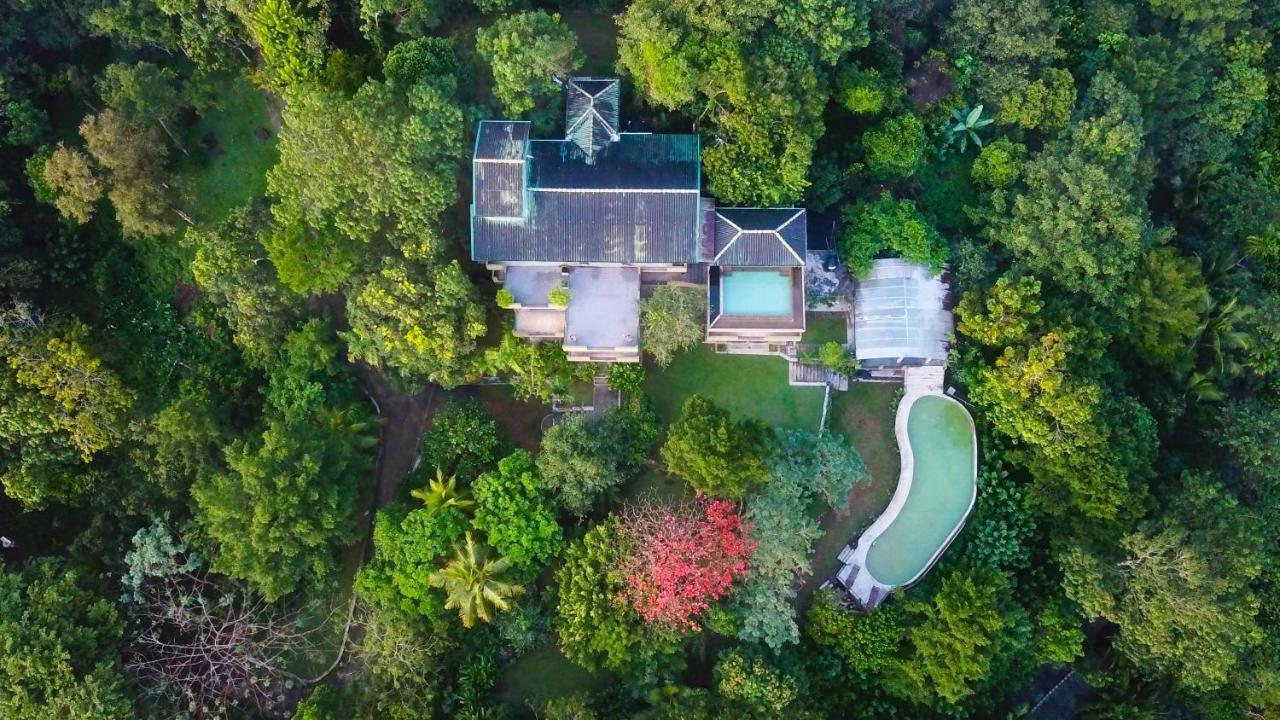 Mangrove Escapes 호텔 벤토타 외부 사진