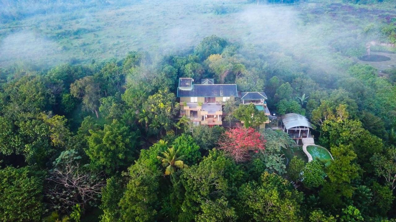 Mangrove Escapes 호텔 벤토타 외부 사진